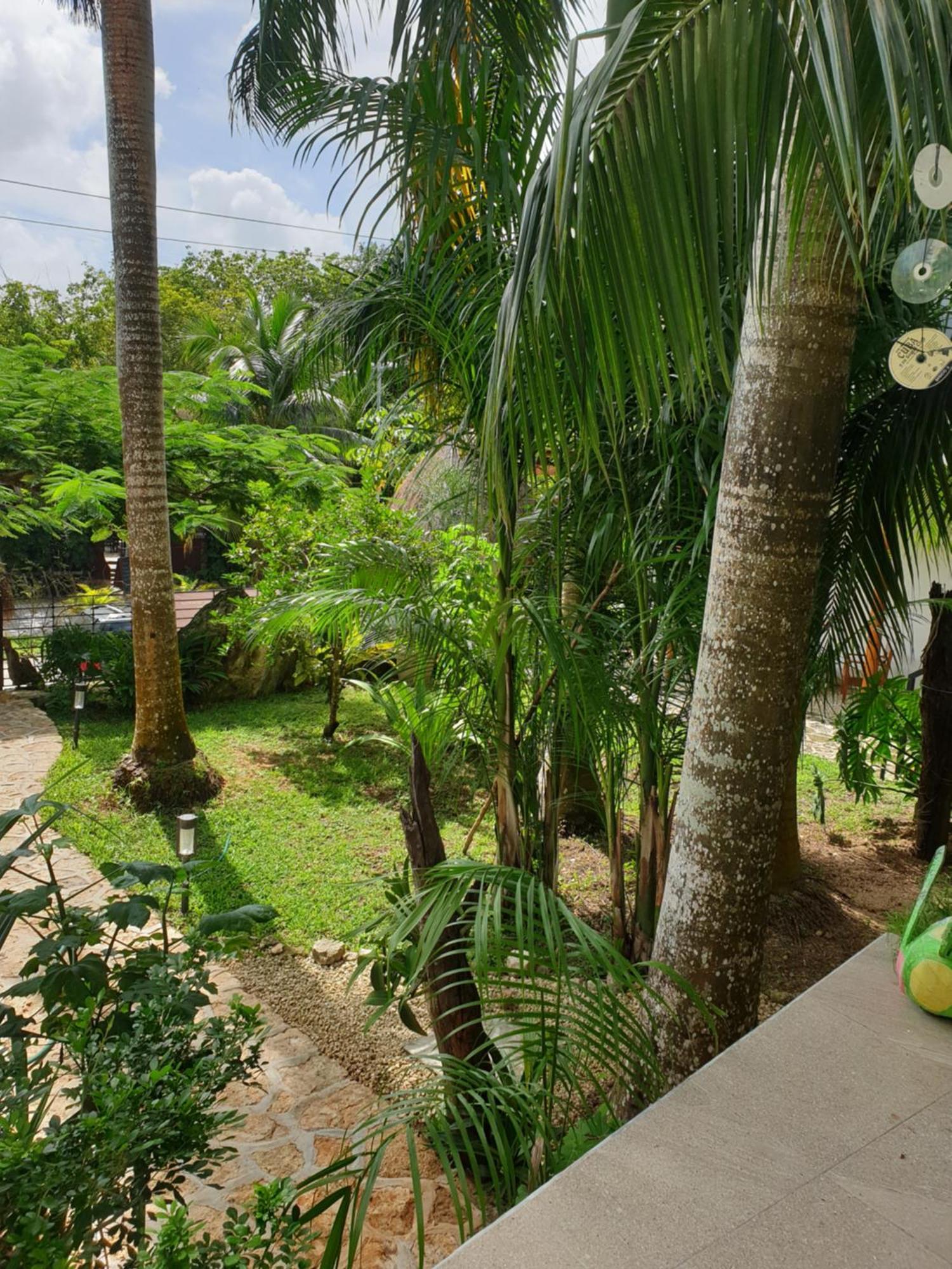 Camino Del Alma Apartments Bacalar Quarto foto